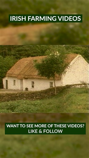 Traditional Irish Farming at Muckross Farms Killarney, Ireland - Part 1 | Videos of Irish Farming Life