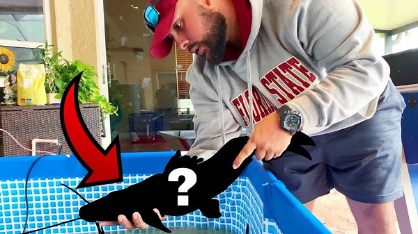 Transporting a River Monster to Its New Pool Home