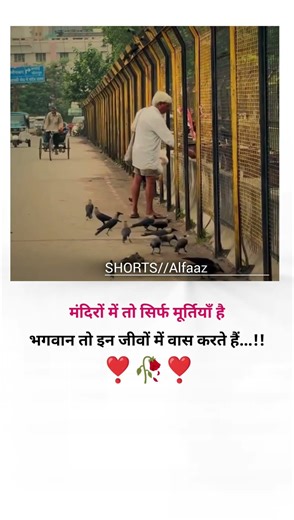 There are only idols in temples...😊🥀💯