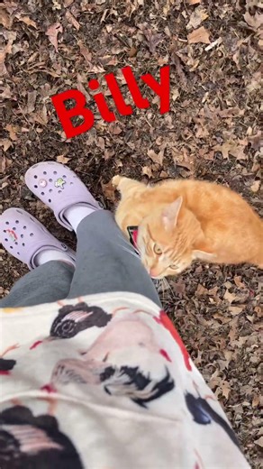 My animals and there problems #chicken #4h #cat #freerangechickens #farmlife