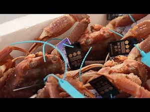 石川のカニと近江町市場