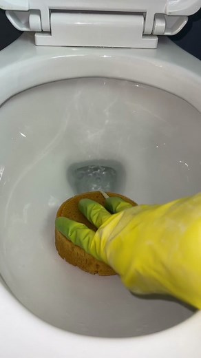 Powders with Favorite Liquid Cleaning Collab