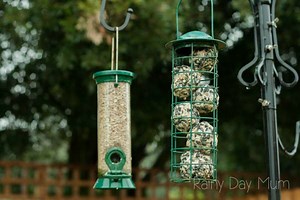 2.1K views · 11 shares | Kid Safe Suet Balls to make to feed the...