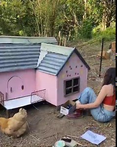 Painting the most dramatic duck pen that Anastasia built completely from recycled materials 🛠🪚 Everything, from the roof to the silly hand rail is scrap or secondhand! The land has taught us so much, and I think the most meaningful thing we’ve learnt is to think regeneratively in every aspect of our life. We learnt the term ‘regenerative’ in relation to farming and agriculture, to give back to the land and let it regrow, renew and restore. Recently, we have learnt that there are so many ways w