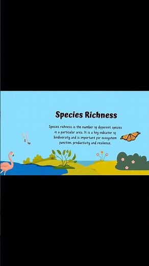 🧬 3 Hidden Layers of Biodiversity You Never Knew Existed! 🌿 | Genetic, Species & Ecosystem Types