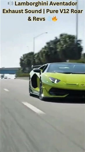 🔊 Lamborghini Aventador Exhaust Sound | Pure V12 Roar & Revs 💨🔥