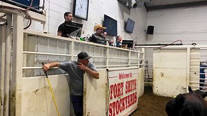 20K views · 161 reactions | Market is good today! 6 head of black steers weighing 547 brought $3.13$/cwt =$1712.11! | Fort Smith Stockyards | Facebook
