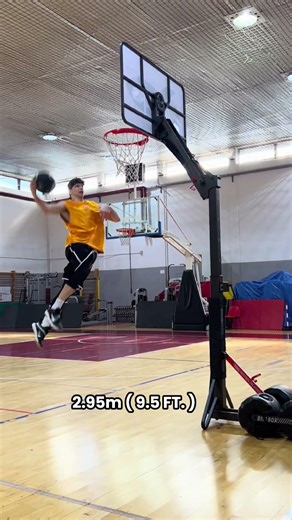 ROLLARM DUNK TRAINING dal CANESTRO da MINIBASKET a quello REGOLAMENTARE!