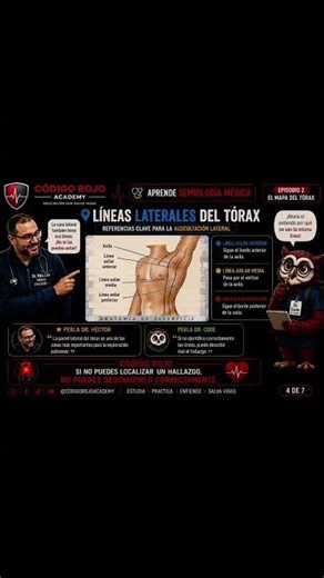 El Mapa del Tórax: Líneas y Regiones Esenciales para Estudiantes 📊👨‍⚕️