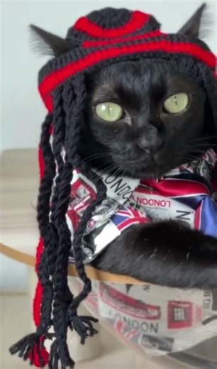 chat Bob Marley