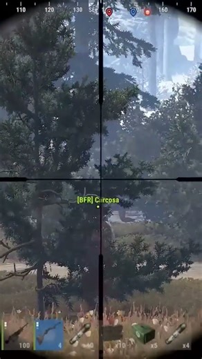 Rust lucky shot, saving downed friend. bolt headshot thru bush