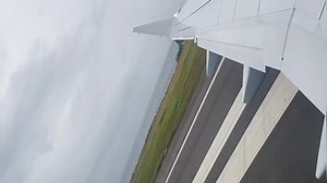 The dramatic moment when the American Airlines (AA) flight AA1427 on Saturday, June 5 came into contact with what appears to be Seagulls on the runway at Argyle International Airport (AIA). The pilots had to abort the take-off and the flight was cancelled as tires were reported damaged. It is the first time an incident of this nature has been reported to have occurred at the Argyle International Airport. But, bird strikes are not new in the Caribbean or elsewhere. For instance, several bird stri