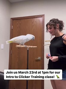 1.9K views · 72 reactions | Join us March 23rd at Parrot Stars for...