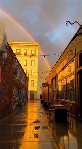 The leprechauns in this city are really struggling with the cost of living. 🌈🗑️ | Hughes Insurance Agency