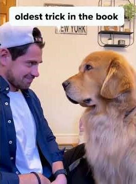 When I suddenly kissed my dog, watch his reaction #funnyvideos #dogs #foryou #funny #funny #pets