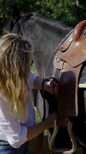 Optimering af vanding til ridebaner