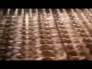 Pringles Processor Machine - Making Pringles