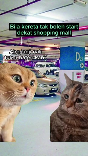 499K views · 1.7K reactions | Nombor dia 011 1600 6008 | 24 jam Call Center atau boleh je download app Bateriku.com melalui Google Play atau Apple App Store  Dah tak mau gaduh². Ada siapa-siapa yang pernah ada problem sama dekat shopping mall tak? #Bateriku #Baterikudotcom #CarBreakdown #Baterikong | Bateriku.com | Facebook