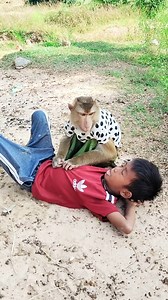 125K views · 3.1K reactions | It's entertaining and educational, the Little Monkey SokYaa | Amazing TV | Facebook