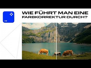 So führen Sie Farbkorrekturen WIE EIN PROFI durch | Movavi Video Editor
