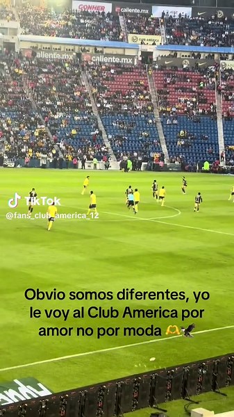 Amor por el Club América: Pasión y Triunfos