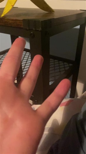 Rilo (@rilo344)’s videos with original sound - Rilo