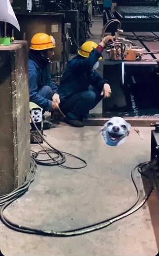 TikTokでdynho168oficialさんをチェック！