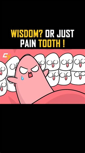 Health | Animation | Body on Instagram: "Ever wondered why wisdom teeth cause so much trouble? 😬🦷 These latecomer molars pop up years after your other teeth, often crowding your mouth, causing pain, or even triggering infections. Your jaw might not have enough space for them, making them the mischievous rebels of your smile! 🎥Learn why wisdom teeth can be a pain — and how to handle them like a pro. 🎥Follow @cozyhealthtoons for more ! Vedio :- (somacguffin) #Wisdom