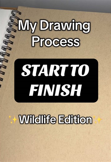 I wanted to showcase my buck drawing from sketch to rendered product! Ngl, there have been some moments where I thought I was never going to finish it. But I am glad I stuck with it. It took more longer than I’d like to admit since life gets busy!! If anyone is curious, I did use Strathmore Toned Sketch Paper for this piece! #Art #Draw #Drawing #WildLife #Deer #ColoredPencils #PencilArt #artistsupportartist