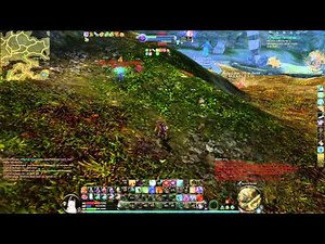 AION 4.0 PvP # ASSASSIN • Paralyzed # Vol 4.0