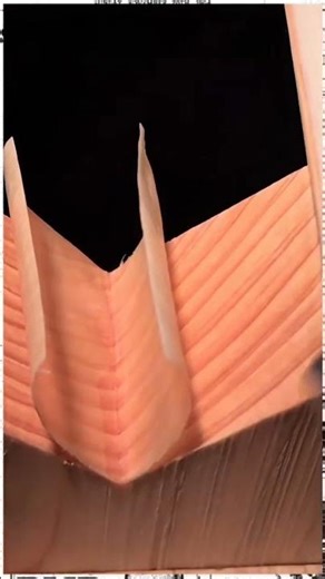 Sharp Chisel for Accurate Furniture: Woodworking HACK #shorts