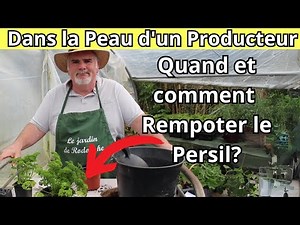 Grand-Père Rempotait le Persil Comme Ça!