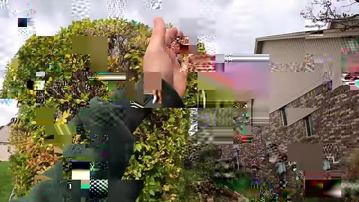 1.4K views · 23 reactions | Take a look at these monster burning bush...