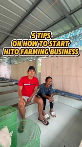 201K views · 4.8K reactions | ✅5 Tips on How to Start Hito Farming Business #asfarmingph #hitokaalaman #asfarming #hitofarming #catfishhatchery #farmph #farmingph #Hito #catfishfarming #catfish | As Farming Philippines | Facebook