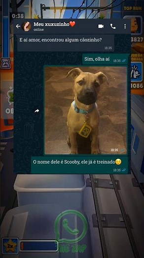 Scooby looks different! 😳