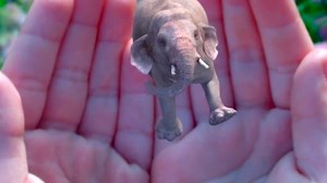 Has Magic Leap's amazing augmented-reality tech been leaked?