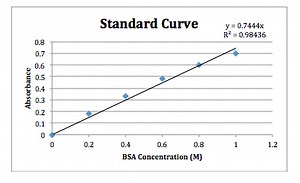 Protein Quantification