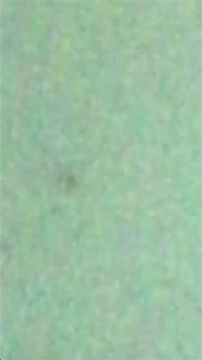 17 กุมภาพันธ์ 2569