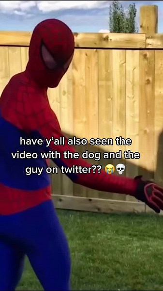 Dog and Guy Video on Twitter