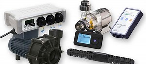 | The Beginners Reef