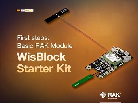 How to flash or update Meshtastic Rak Wiseblock 4631 on Windows step by step