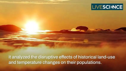 Which Animals Will Survive Climate Change