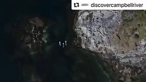 Nootka Marine Adventures is a proud partner of The Campbell River...