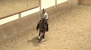 „Achal Tekkiner Deckhengst Amadei Geli ÜBT“ / "Akhal Teke breeding stallion Amadei Geli EXERCISING" (For English please scroll down) „Ausbildung darf immer nur Verfeinerung und Vervollkommnung der Natur darstellen. Wird diese Natur auch nur im geringsten vergewaltigt, verliert sie ihren durch nichts zu ersetzenden Stellenwert. Wer einem so stolzen, herrlichen Geschöpf dieser Schöpfung seinen Adel nimmt, degradiert es – und gleichzeitig sich selbst als Mensch. Die Gänge der Hohen Schule werden fü