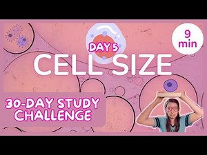 Day 5: Cell Size & Surface Area to Volume Ratios - 30 Day Biology Study Challenge 2024