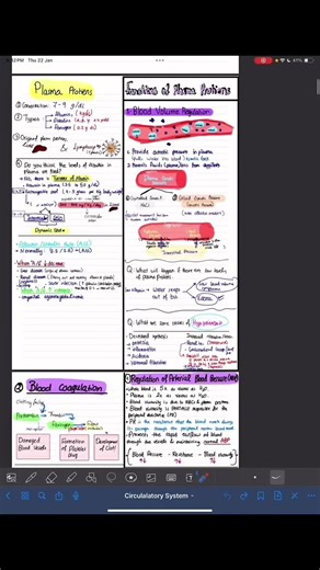 Part 3 of lec1: Blood composition;Plasma Protiens for 1st year medstudents #medical #medstudent #medicine #fyp #foryoupage