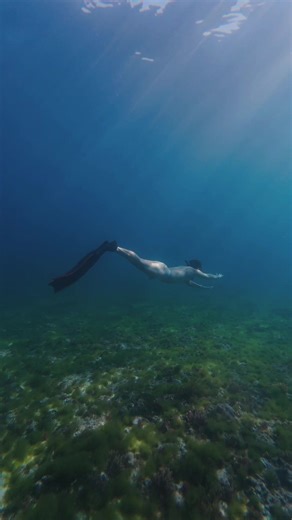 Suy với biển #iamminhnhut #freediving #phuquyisland