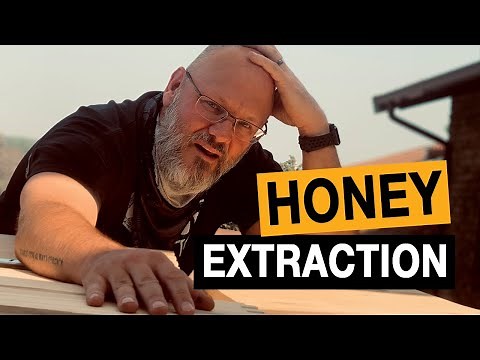 African Bee Honey Processing (Large scale honey extraction)