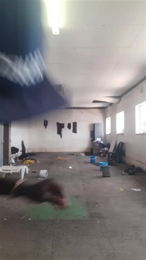 #Ahhh!!ezo Razor MOLELE (@ahhhezo.razor.mol)’s videos with original sound - SashMannsHouse🇿🇦