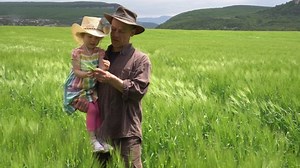 Family Organic Wheat Farming Business. Adult farmer father with happy daughter in his arms inspects a wheat field. Growing with the Grain.